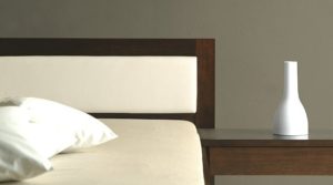 Produkt: COBURGER WERKSTÄTTEN Bett NIDO comfort - Kategorie: Betten